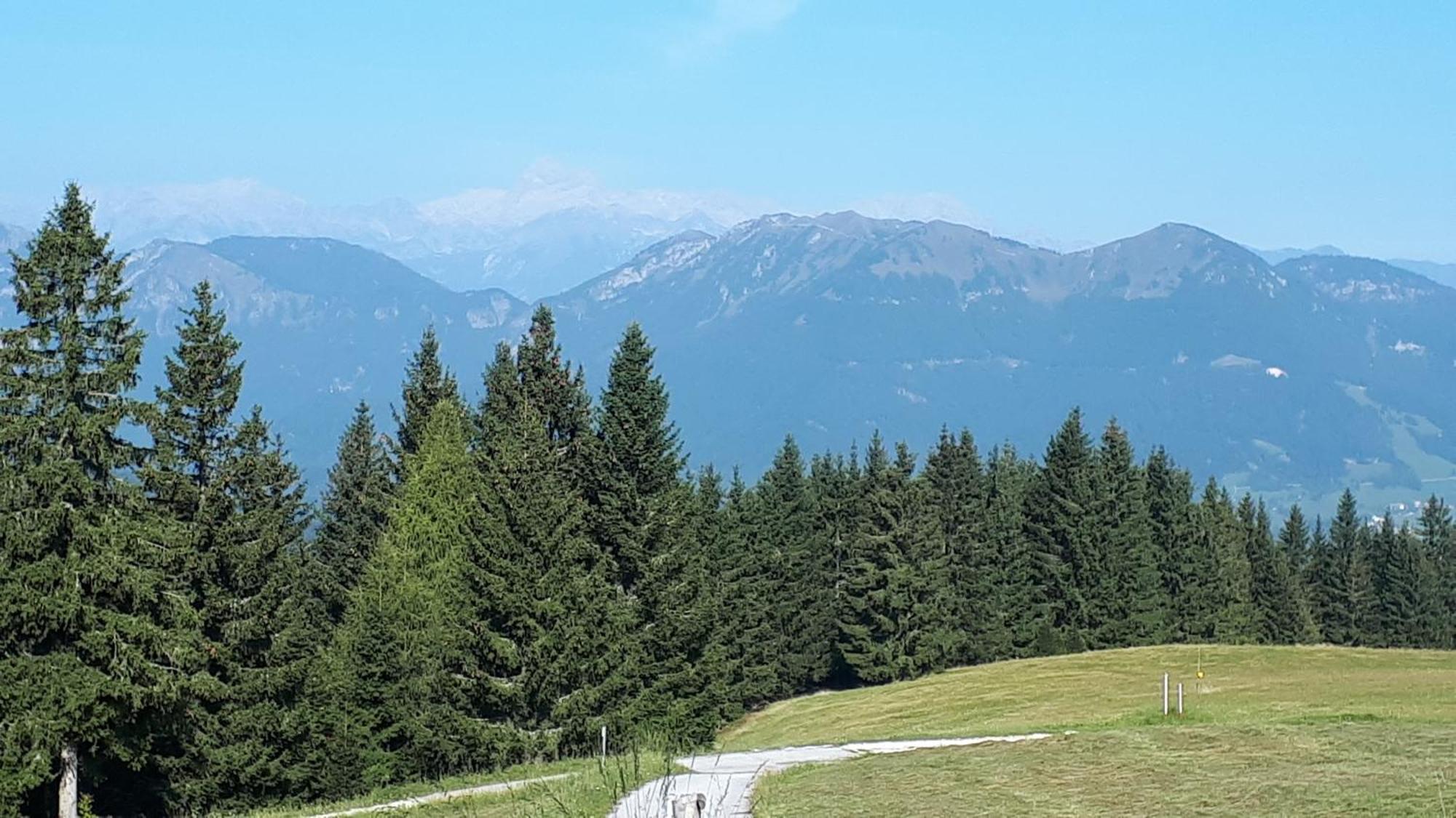 Apartmaji Srnca