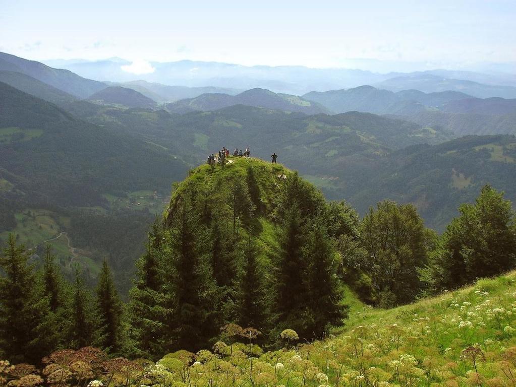 Apartmaji Srnca Cerkno