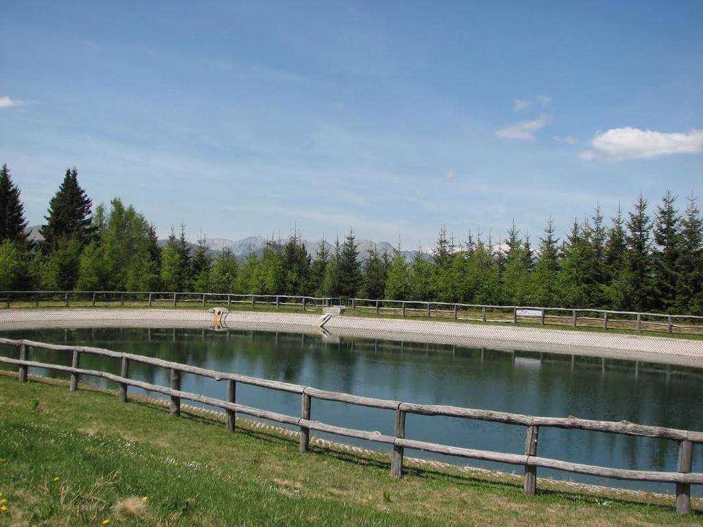 Apartment Apartmaji Srnca Cerkno