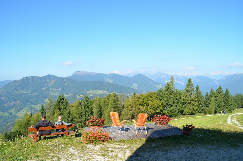 Apartment Apartmaji Srnca Cerkno